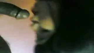 Noana foana
