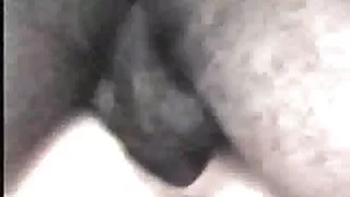 Firaisana ara-nofo hofan-trano