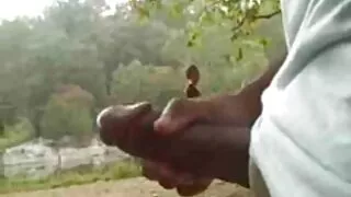Slim kitten apetraka